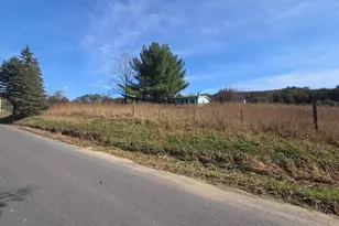 2500 Beaver Run Rd, Burlington, WV 26710 - Photo 3