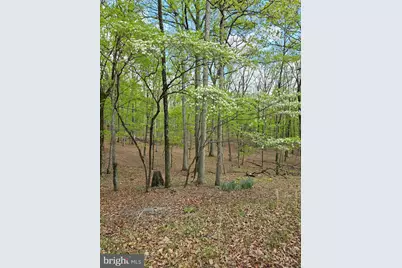 Pioneer Trail, Great Cacapon, WV 25422 - Photo 5
