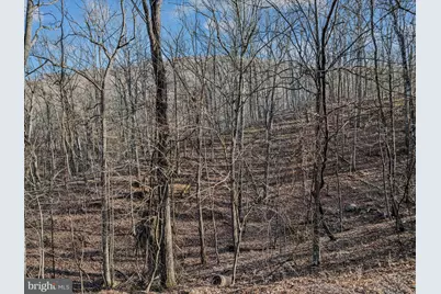 Ore Lane Lot #25, Berkeley Springs, WV 25411 - Photo 5