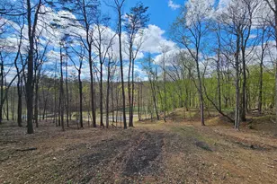 Racers Ln, Berkeley Springs, WV 25411 - Photo 3