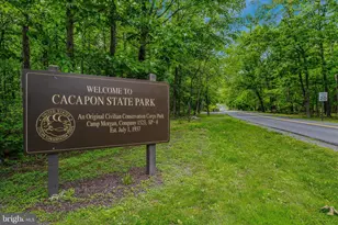 237 Foggy Bottom Ln, Berkeley Springs, WV 25411 - Photo 61