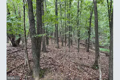 564 Shade Lane, Berkeley Springs, WV 25411 - Photo 49