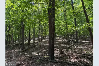 Winchester Grade Road, Berkeley Springs, WV 25411 - Photo 7