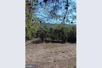 1971 Duckwall, Berkeley Springs, WV 25411 - Photo 55