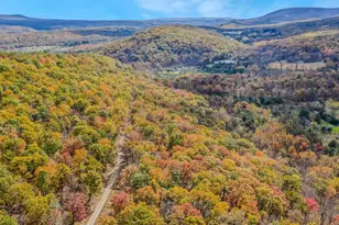 367 Dominion Trail, Berkeley Springs, WV 25411 - Photo 51