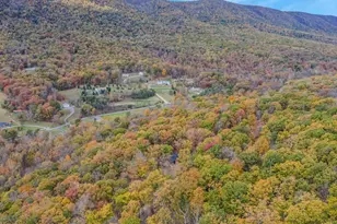 367 Dominion Trail, Berkeley Springs, WV 25411 - Photo 55