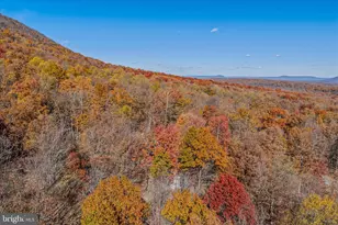 601 Parkside Terrace, Berkeley Springs, WV 25411 - Photo 49
