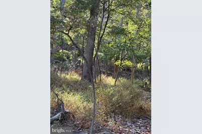 Feather Bed, Hedgesville, WV 25427 - Photo 3