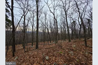 Lot 38 Breakeven Lane, Berkeley Springs, WV 25411 - Photo 23