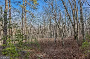 Lot 38 Breakeven Ln, Berkeley Springs, WV 25411 - Photo 1