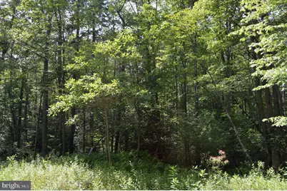 Lot 256 Azalea Ln, Terra Alta, WV 26764 - Photo 7