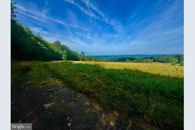 Tbd Chidester Road, Terra Alta, WV 26764 - Photo 7