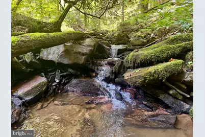 Tbd Chidester Road, Terra Alta, WV 26764 - Photo 13