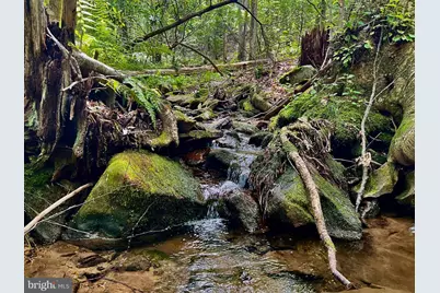 Tbd Chidester Road, Terra Alta, WV 26764 - Photo 11