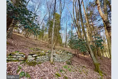 268 Wild Flower Way, Albright, WV 26519 - Photo 17