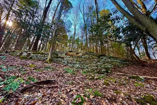 268 Wild Flower Way, Albright, WV 26519 - Photo 19