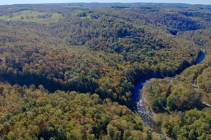 268 Wild Flower Way, Albright, WV 26519 - Photo 29