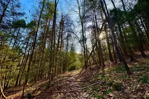 268 Wild Flower Way, Albright, WV 26519 - Photo 13