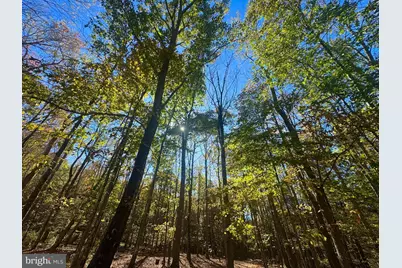 268 Wild Flower Way, Albright, WV 26519 - Photo 31