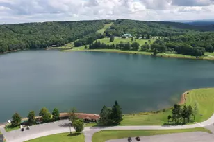 1218 E Alpine Dr, Terra Alta, WV 26764 - Photo 79