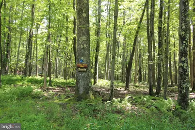 1218 E Alpine Drive, Terra Alta, WV 26764 - Photo 87