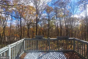 1218 E Alpine Dr, Terra Alta, WV 26764 - Photo 45