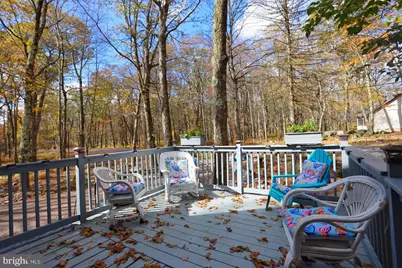 1218 E Alpine Drive, Terra Alta, WV 26764 - Photo 51