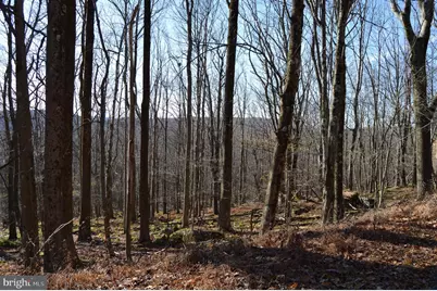 Lot 154 Daisy Drive, Terra Alta, WV 26764 - Photo 3