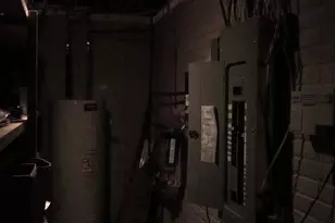 255 Troublesome Valley Rd, Franklin, WV 26807 - Photo 53