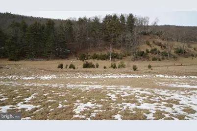 255 Troublesome Valley Road, Franklin, WV 26807 - Photo 57