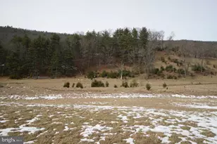 255 Troublesome Valley Rd, Franklin, WV 26807 - Photo 57