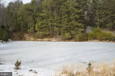 255 Troublesome Valley Road, Franklin, WV 26807 - Photo 69