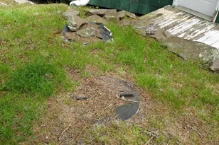 55 Burton Rd, Franklin, WV 26807 - Photo 13