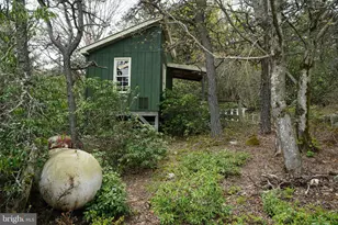 55 Burton Rd, Franklin, WV 26807 - Photo 11