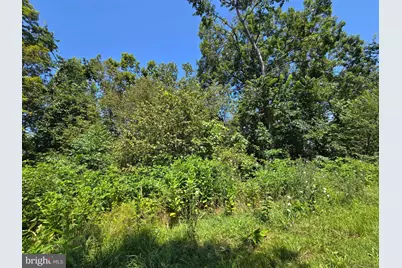 Lot 24 Stone Fly Ln, Sugar Grove, WV 26815 - Photo 1