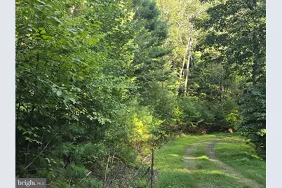 Lot 27 Native Trout Ln, Sugar Grove, WV 26815 - Photo 5