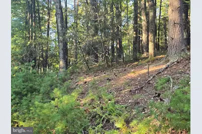 Lot 24 & 27 Native Trout Ln, Sugar Grove, WV 26815 - Photo 5