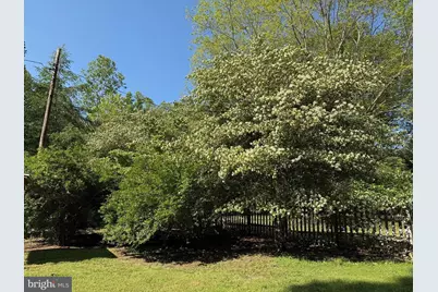 5994 Mount Freedom Drive, Circleville, WV 26804 - Photo 29