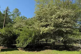 5994 Mount Freedom Dr, Circleville, WV 26804 - Photo 29