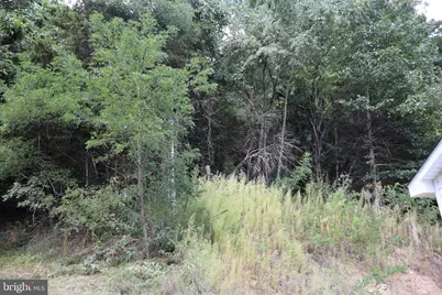 106 Pit Run Road, Brandywine, WV 26802 - Photo 47