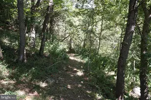 789 Upper South Branch Rd, Franklin, WV 26807 - Photo 43