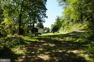 789 Upper South Branch Rd, Franklin, WV 26807 - Photo 29