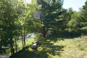 789 Upper South Branch Rd, Franklin, WV 26807 - Photo 41