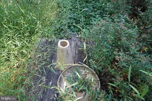 1537 Hidden Valley Rd, Franklin, WV 26807 - Photo 77