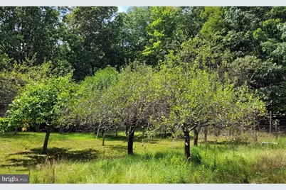 1537 Hidden Valley Road, Franklin, WV 26807 - Photo 65