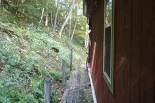 1453 Dry Run Rd, Franklin, WV 26807 - Photo 5