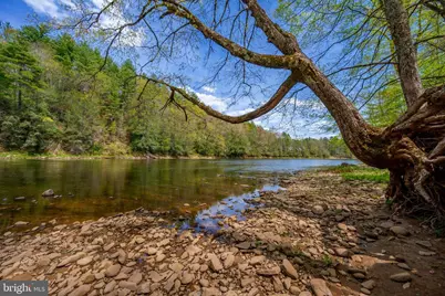 Tbd Route 1, Parsons, WV 26287 - Photo 29