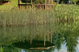 18 Red Squirrel Run, Davis, WV 26260 - Photo 21