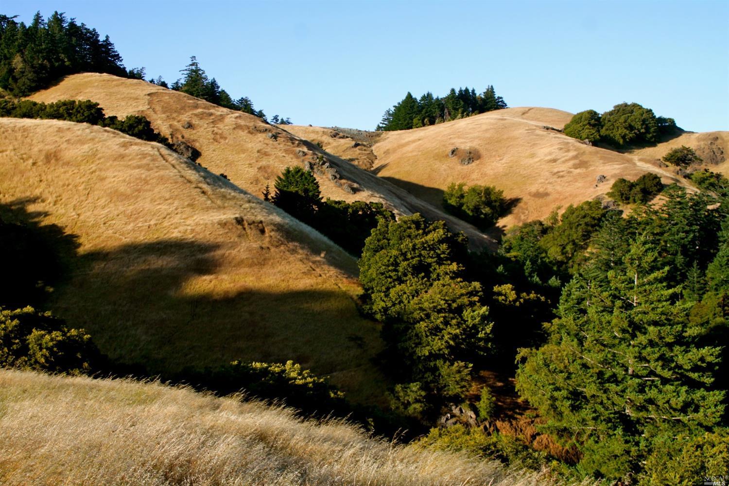 5 Meadow View Ln, San Geronimo, CA 94963 MLS 321088909 Coldwell Banker