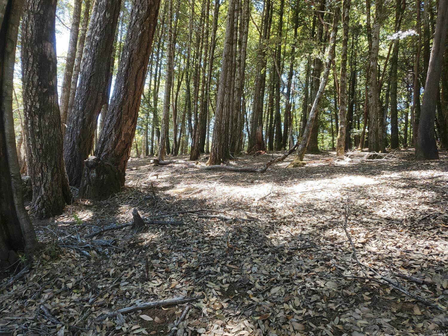 27520 Fox Rd, Willits, CA 95490 MLS 322060763 Coldwell Banker